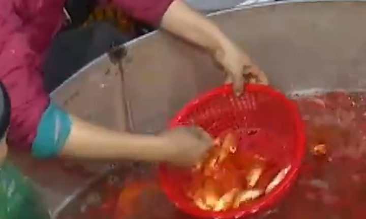 Cá chép đỏ cúng ông Công ông Táo tăng giá mạnh