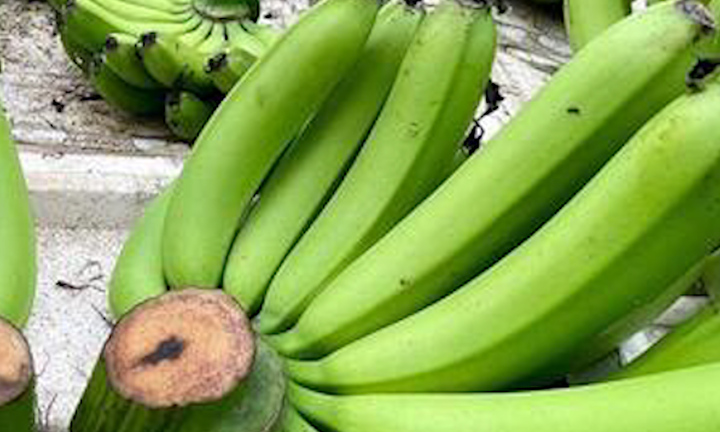 Tiểu thương 'hét' 500.000 đồng một nải chuối trong ngày ông Công, ông Táo