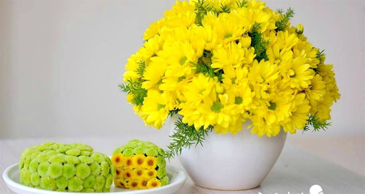 Có nên dùng nước máy cắm hoa?