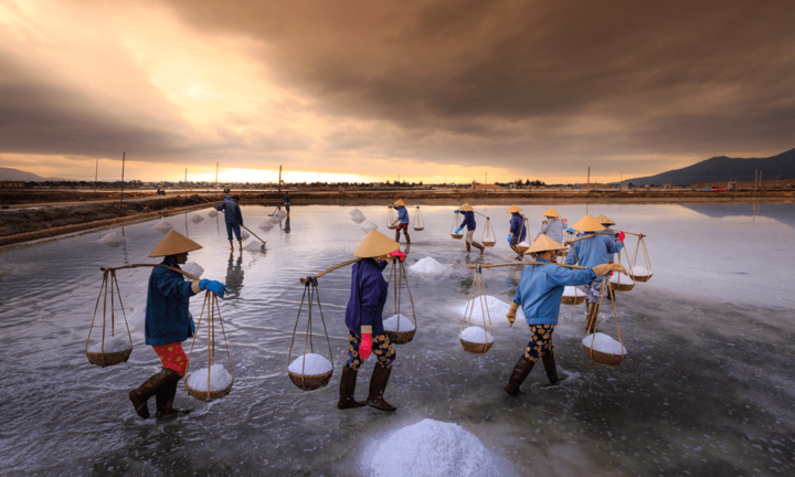 Tỉnh nào là thủ phủ muối của Việt Nam?