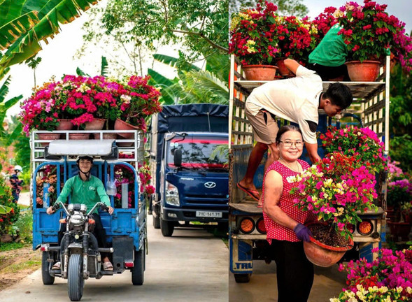Người miền Tây 'chở Tết' về TP.HCM
