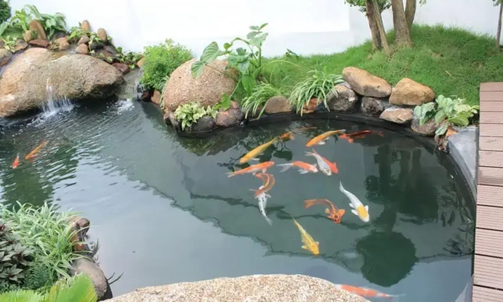 Các mẫu thiết kế nhà vườn có ao cá được ưa chuộng nhất năm 2025