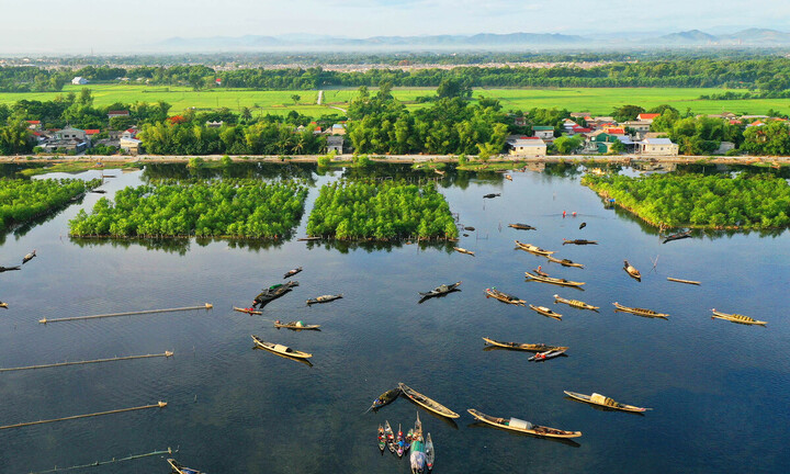 Vẻ đẹp khó cưỡng của đầm nước lợ lớn nhất Đông Nam Á