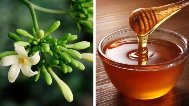 Uống hoa đu đủ đực ngâm mật ong thời điểm nào tốt nhất? 