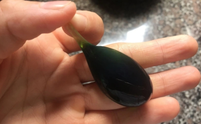 Tử vong sau uống mật cá trắm chữa viêm phổi