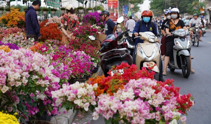 7 chợ hoa Tết nổi tiếng ở TP.HCM 'khách cứ đến là ôm hoa về'