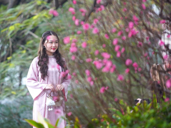 Thiếu nữ Hà Nội diện áo dài bên hoa đào, dạo hồ Gươm dịp cuối năm