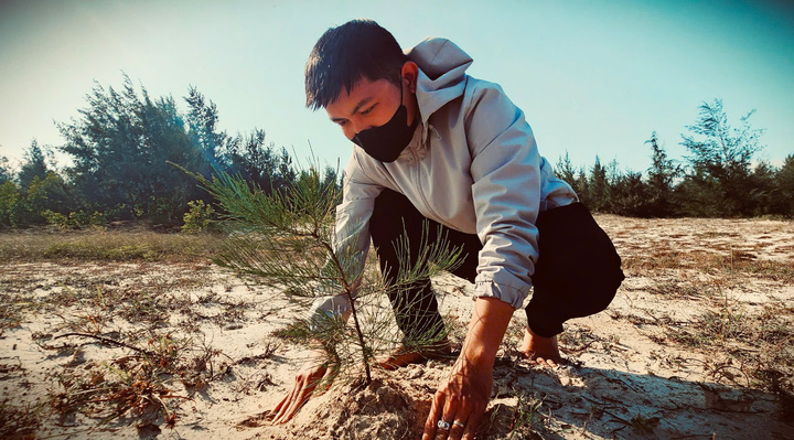 Đem rừng về với biển 