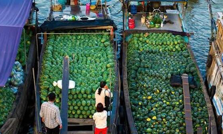 Chợ nổi Cái Răng rực rỡ ngày Tết