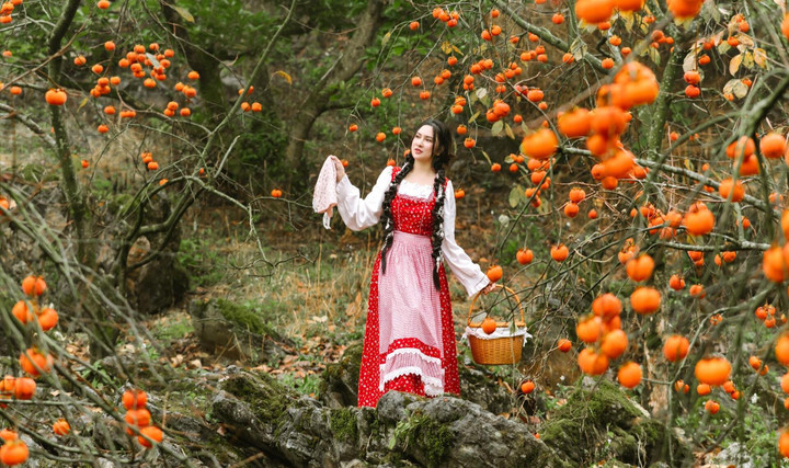 Mùa hồng chín rộ trên cao nguyên Mộc Châu, du khách nô nức đổ về săn ảnh đẹp