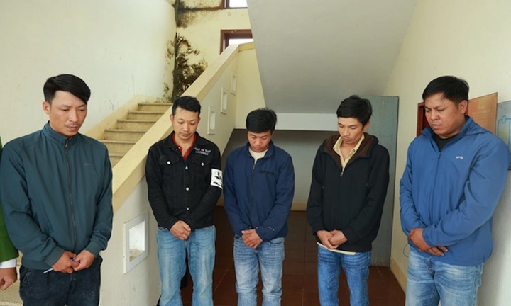 Xác định 6 kẻ dùng súng giết 6 con trâu của nông dân Quảng Trị