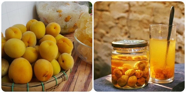 Quả mơ có tác dụng gì với sức khoẻ?