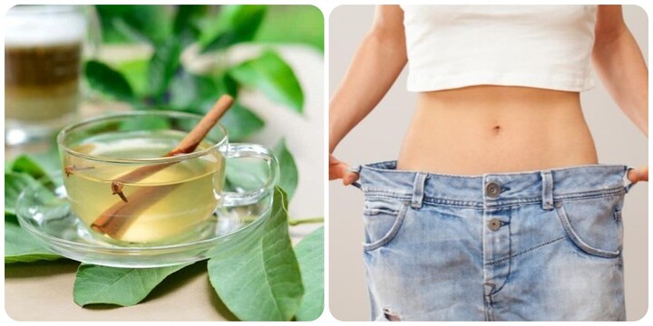 Uống nước lá ổi có giúp giảm cân?