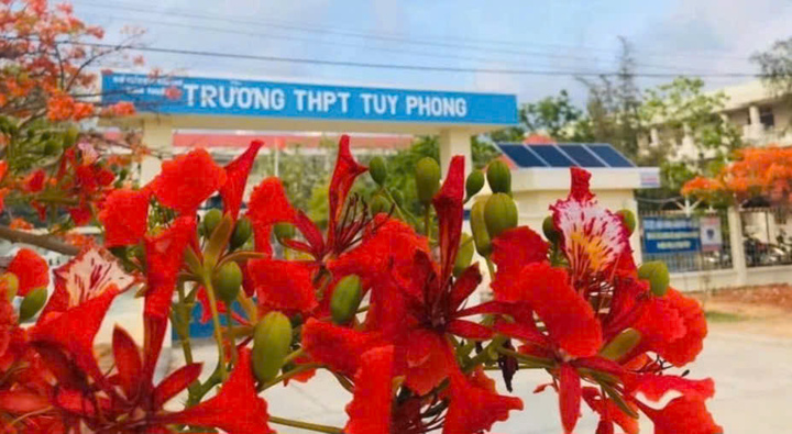 Tạm đình chỉ thầy giáo bị tố ‘quan hệ’ với nữ sinh lớp 10 ở Bình Thuận