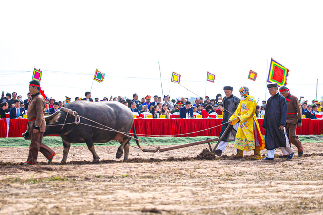 Lão nông 75 tuổi đóng vai vua xuống ruộng đi cày trong lễ hội Tịch điền