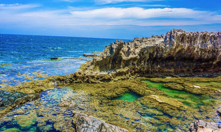  Đến Ninh Thuận, đừng quên ghé Vịnh Vĩnh Hy đẹp say đắm lòng người