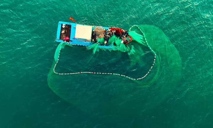 Đẹp mê mẩn mùa lưới của ngư dân Bình Định 'nở hoa' trên biển 