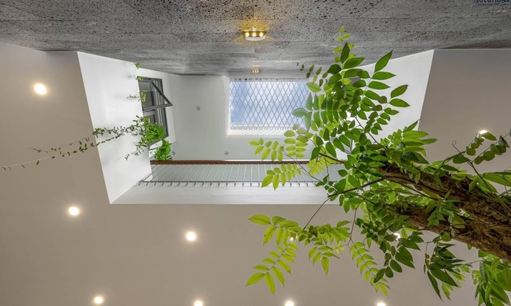 Nguyên tắc thiết kế giếng trời cho nhà ống thoáng mát