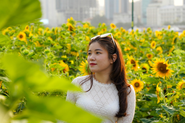 Săn ảnh ở cánh đồng hoa hướng dương 'view triệu đô' tại TP.HCM