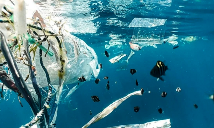 Bài mẫu viết thư UPU lần 54 năm 2025: Tưởng tượng bạn là Đại dương