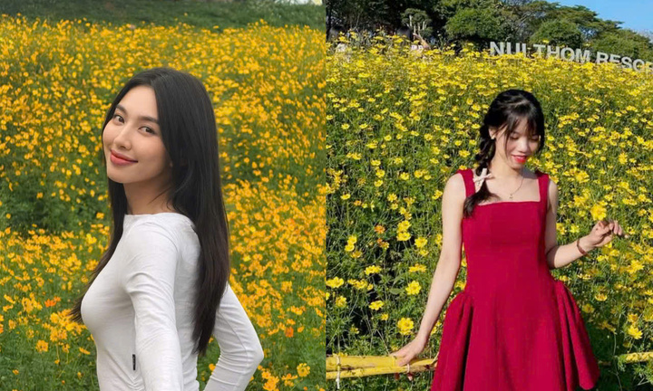 Hoa hậu Thùy Tiên và các thiếu nữ khoe dáng bên cánh đồng 'hoa vàng cỏ xanh' 