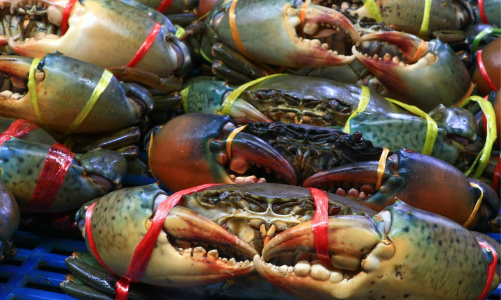 Một loại thủy sản Việt Nam xuất khẩu sang Trung Quốc tăng tới 18 lần