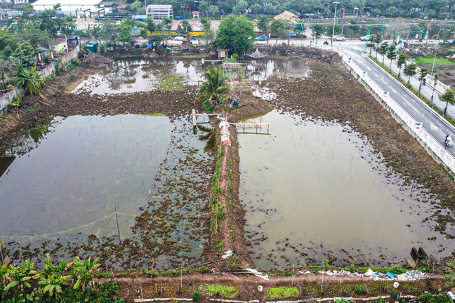 Hiện trạng nơi được cải tạo làm hồ trung gian hồi sinh sông Tô Lịch