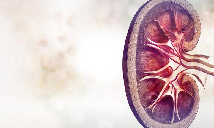 10 dấu hiệu cho thấy thận không khỏe