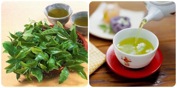 Những người nên uống nước chè xanh thường xuyên