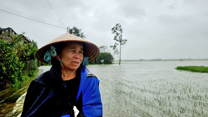 Lụt giữa mùa xuân, hàng nghìn héc-ta hoa màu bị nhấn chìm tại Phú Yên