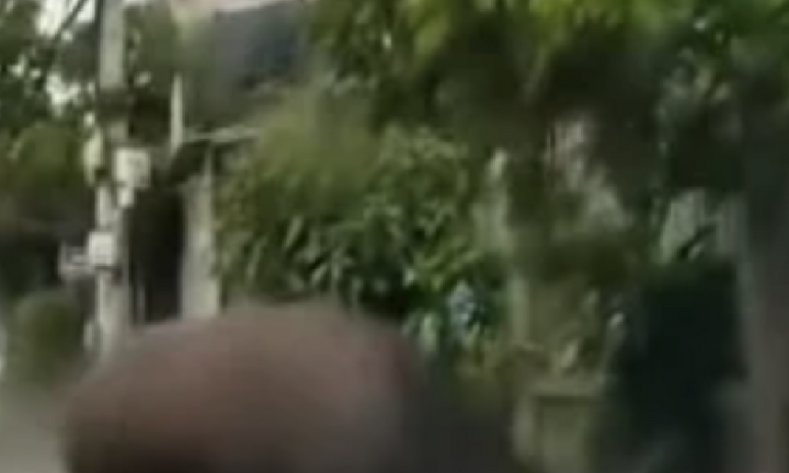 Trâu chạy loạn trên phố, húc một học sinh đang tới trường