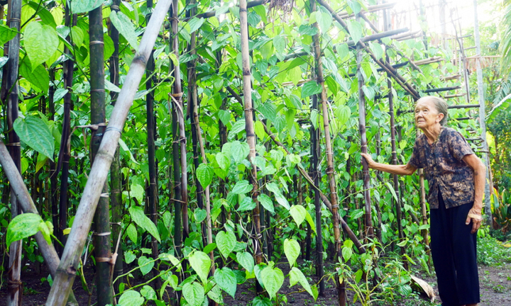 Vì sao có tên gọi Hóc Môn?