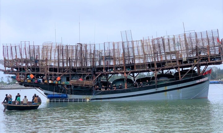 Một ngư dân Quảng Nam mất tích khi câu mực ở Hoàng Sa