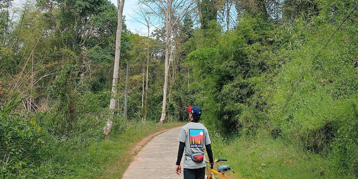 Vườn Quốc gia Nam Cát Tiên - tọa độ du lịch lý tưởng của giới trẻ