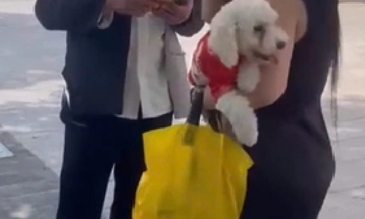 Thanh niên thả rông chó, đánh trọng thương bảo vệ phố đi bộ Nguyễn Huệ bị bắt