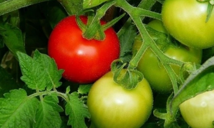 3 loại thực phẩm là 'vua hại gan' không phải ai cũng biết