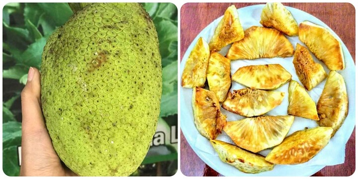 Loại quả dân dã nhưng bổ ngang nhân sâm, tổ yến, có nhiều ở Việt Nam