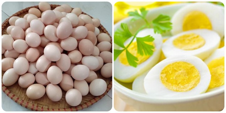 Số lượng trứng nên ăn mỗi tuần ở từng nhóm tuổi