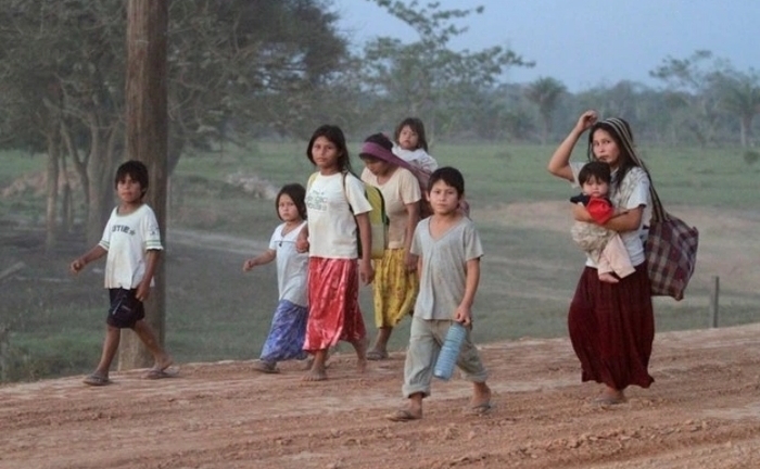 Bộ tộc có trái tim 'khỏe mạnh nhất thế giới' nhờ các món ăn quen thuộc này