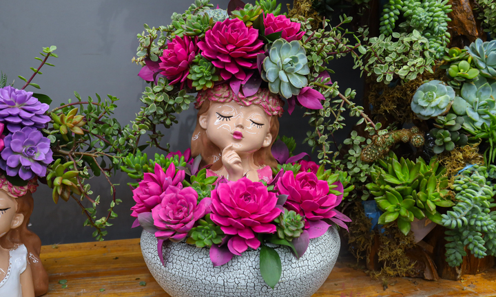 Khách hàng đổi 'gu', săn mua sen đá độc lạ dịp 8/3