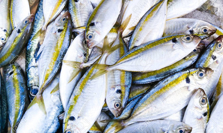 Cách nhận biết cá biển ướp urê