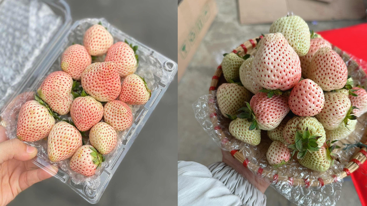 Loại quả từng có giá triệu đồng/kg nay bán rẻ bèo trên 'chợ mạng'