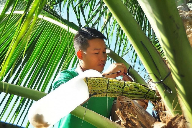 Thạc sĩ bỏ nghề về quê khởi nghiệp với cây dừa, thu 30 tỷ đồng mỗi năm