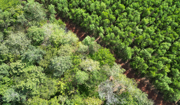 Tuyến đường độc đạo xuyên rừng nối Bình Phước và Đồng Nai