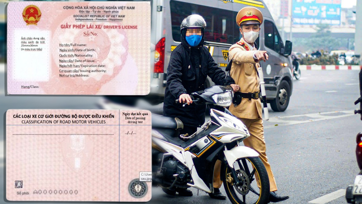 Chưa nộp phạt vi phạm giao thông, không được cấp đổi giấy phép lái xe