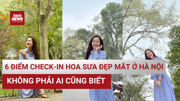 6 địa điểm 'check-in' hoa sưa đẹp nhất Hà Nội, không phải ai cũng biết