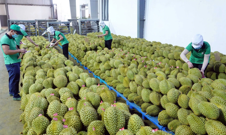 Việt Nam thuộc TOP 30 nước tăng trưởng thương mại cao nhất