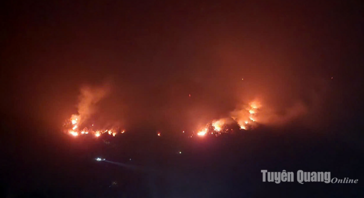 Cháy rừng ở Tuyên Quang