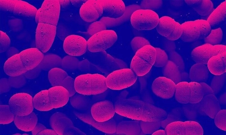 Nhiễm liên cầu khuẩn từ món ăn nhiều người Việt yêu thích