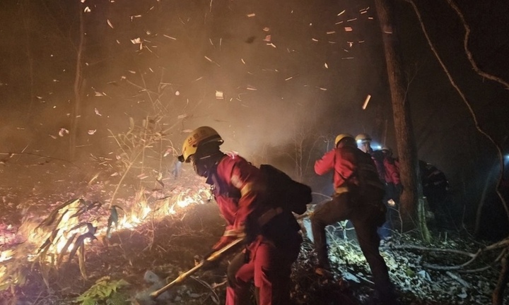 Cháy rừng tiếp tục lan rộng tại Hàn Quốc